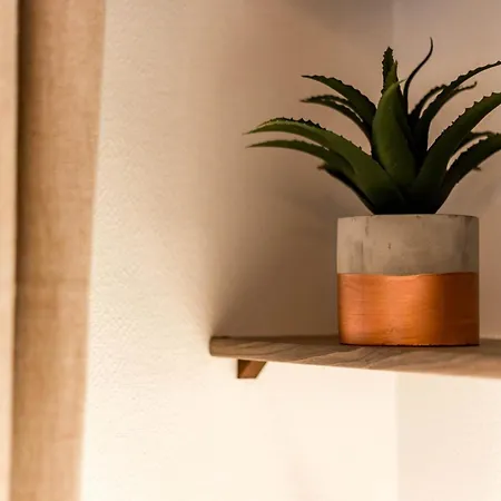 Allinlyon | Charme Et Verdure - Metro Flachet Apartment Villeurbanne